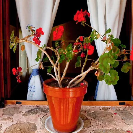 Las Cabanas De La Vera * Aldeanueva de la Vera